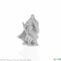 Reaper: Dark Heaven Bones: Alandin, Elf Paladin 
