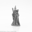 Reaper: Dark Heaven Bones: Anuminar Winterbeard, Wizard 