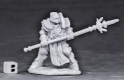 Reaper: Dark Heaven Bones: Crusader Defender (Spear) 