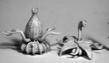 Reaper: Dark Heaven Bones: Death Star Lilies (2) 