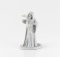Reaper: Dark Heaven Bones: Zenfis Zadar, Wizard 