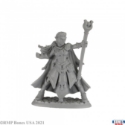 Reaper Legends: Alaedril Starbloom, Elf Wizard Elf Wizard 