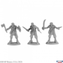 Reaper Legends: Build-a-Pirate (3) 