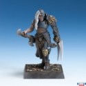 Reaper Legends: Chaos Champion 