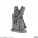 Reaper Legends: Damras Deveril, Wizard Human Wizard 
