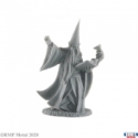 Reaper Legends: Darius the Wizard Human Wizard 