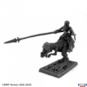Reaper Legends: Dark Elf Hero on Lizard 