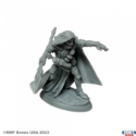 Reaper Legends: Elquin the Daring Elf Hero 