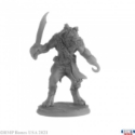 Reaper Legends: Hakkle Blackhook, Gnoll Pirate 