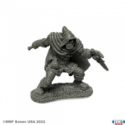 Reaper Legends: Rogan, Half-Orc Thief Half Orc Rogue 