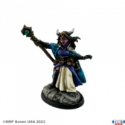 Reaper Legends: Valavir Nightsong, Hellborn Wizard Hellborn Sorceress 