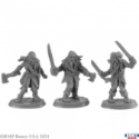 Reaper Legends: Zombie PIrates (3) 