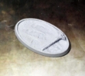 Secret Weapon Miniatures: Blasted Wetlands: 30x65mm Beveled Edge 