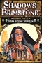 Shadows of Brimstone: Hero Pack: Dark Stone Shaman - FFP07H13 [9781941816998]
