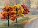 Woodland Scenics: Ready Made Trees: Deciduous Fall- 38 Trees 
