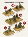 Team Yankee: Oil War- Iran: Mechanised Infantry Platoon 