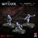 The Witcher: RPG: Orgyds 2: Nekkers 