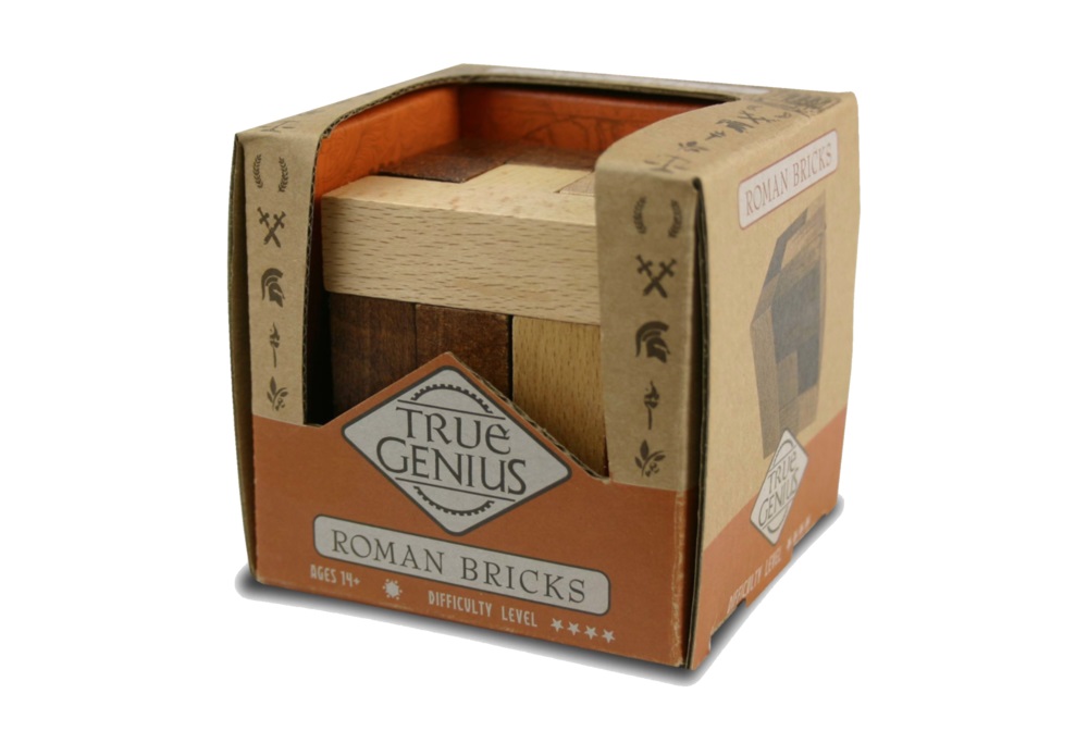 True Genius: Roman Bricks 