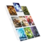 Ultimate Guard: 9 Pocket Pages - UGD010895 [4056133011518]