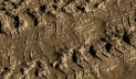 Vallejo Diorama Effects: Brown Earth 