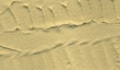 Vallejo Diorama Effects: Desert Sand - VAL-26217 VAL26217 [8429551262170]