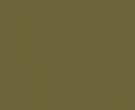 Vallejo Surface Primer (17ml): Earth Green (IJA Tutikusa-IRO) 