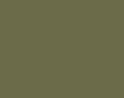 Vallejo Surface Primer (17ml): Parched Grass (IJA Karekusa-IRO) 
