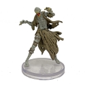 D&D Icons of the Realms: Van Richtens Guide to Ravenloft #11 Nosferatu (C) 