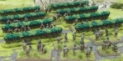 Flames of War: Italian Vineyards 