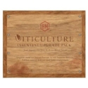 Viticulture: Essential Upgrade Pack 
