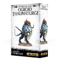 Warhammer Age Of Sigmar: Disciples of Tzeentch: Ogroid Thaumaturge 