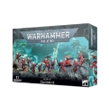 Warhammer 40,000: Aeldari: Guardians (Defenders) 