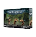 Warhammer 40,000: Blood Angels: Sanguinary Guard 