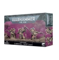 Warhammer 40,000: Death Guard: Deathshroud Bodyguard 