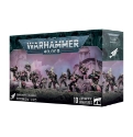 Warhammer 40,000: Emperors Children: Tormentors 