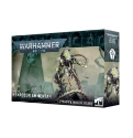 Warhammer 40,000: Necrons: Nekrosor Ammentar 
