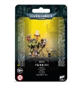 Warhammer 40,000: Orks: Painboss  