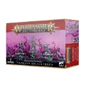 Warhammer: Age Of Sigmar: Disciples of Tzeentch: Tzaangor Enlightened 