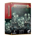 Warhammer: Age Of Sigmar: Nighthaunt: Spirit Hosts 