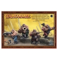 Warhammer Age Of Sigmar: Ogor Mawtribes: Leadbelchers 