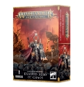 Warhammer: Age Of Sigmar: Slaves To Darkness: Exalted Hero Of Chaos 