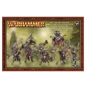 Warhammer: The Old World: Beastmen Brayherds: Bestigor Herd 