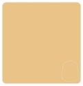 Warhammer Color: Layer: Flayed One Flesh 
