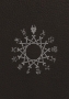 Warhammer Fantasy Roleplay (4th Ed): Deliberations of the Council of Thirteen  (The Horned Rat Game Master's Journal) - CB72466 [9780857444080]