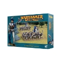 Warhammer: The Old World: Empire of Man: Empire State Troops 