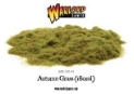 Warlord Games Basing/Flock: Autumn Grass (180ml) 