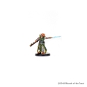 Waterdeep Dragon Heist: #012b Dragonborn Draconic Sorcerer (Green Robe) (C) 