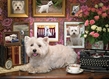 Cobble Hill Puzzles (1000): Westies Are My Type - 80039 [625012800396]