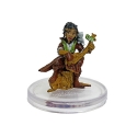 D&D Icons of the Realms: Wild Beyond the Witchlight: #39 Tumblestrum & Groak (R) 