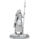 WizKids Deep Cuts: Brigante Celts 